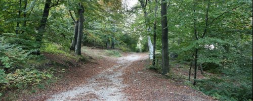 Richiesta Permessi Viabilità Agro-Silvo-Pastorale (VASP)